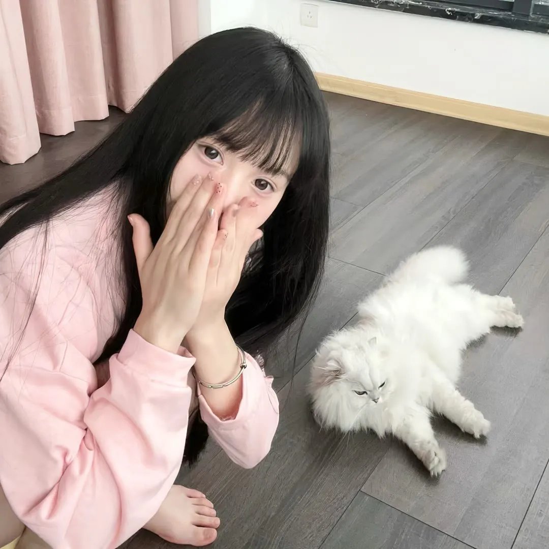 照片1