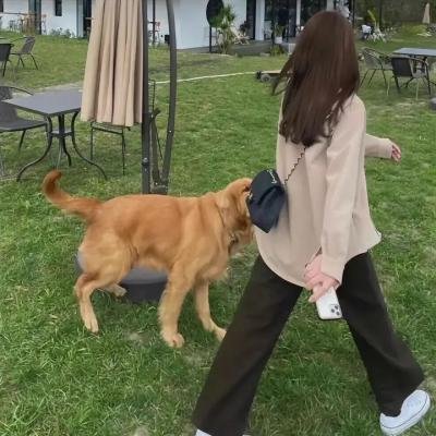 推荐6